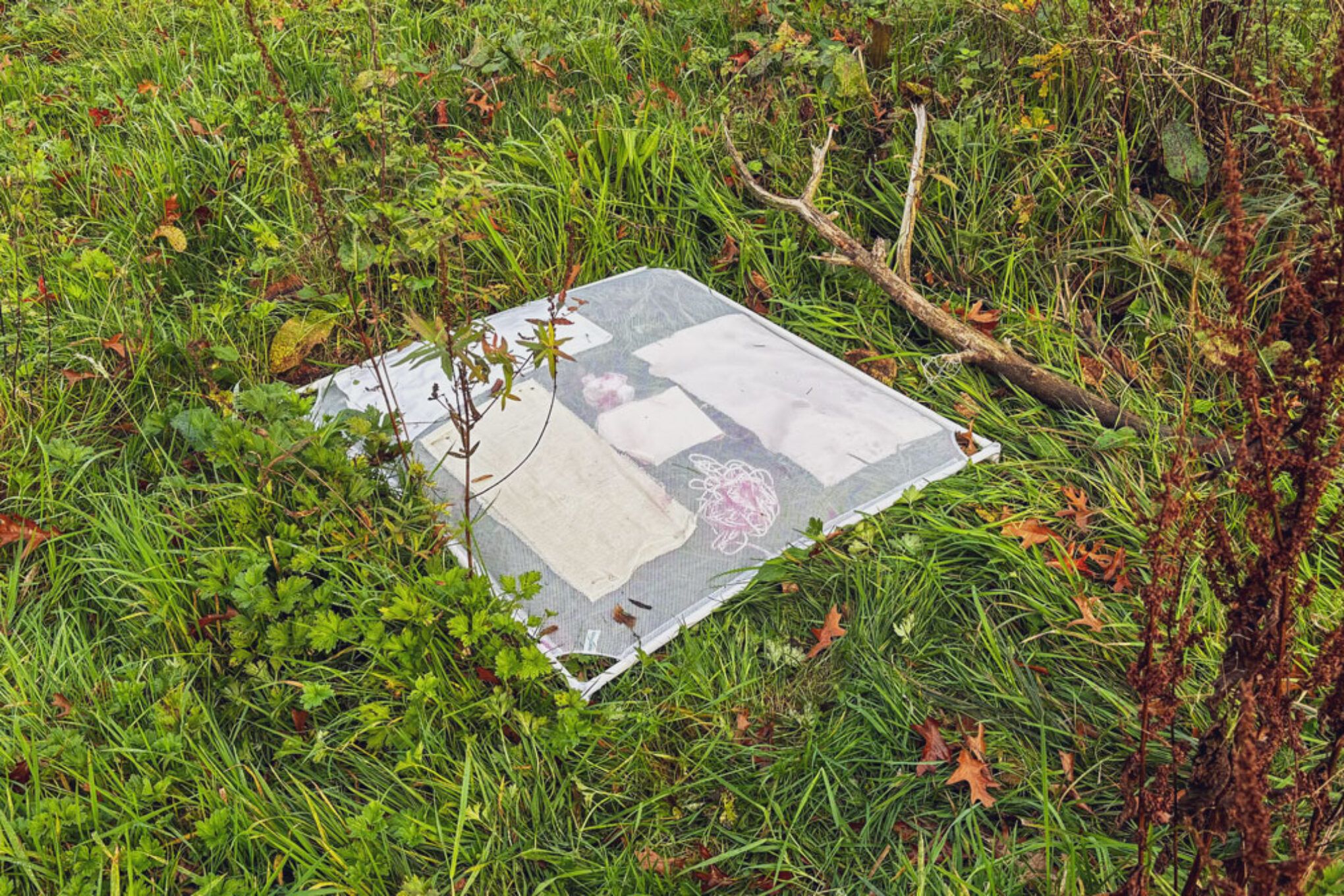 Experiment van Marloes Vreeswijk op de 49m2: een wit opgespannen doek van 1 x 1 meter is in het gras gezet met allerlei pigmenten tussen het gras en het doek. Foto: Marloes Vreeswijk
